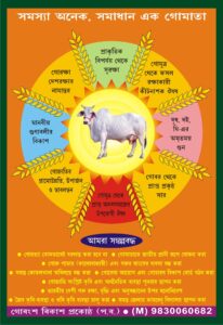 Cow products are being promoted