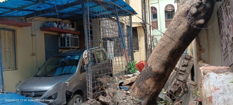 tree cyclone amphan kolkata west bengal