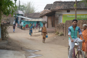 गरियाबंद छत्तीसगढ़ आदिवासी अलेक्जेंड्राइट