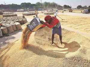 भारत में कृषि क्षेत्र का संकट खाद्य सुरक्षा