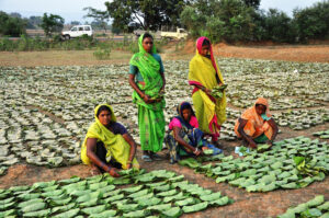 cotpa amendment bill 2020 women beedi rollers workers tobacco products