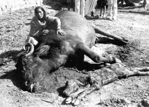 bhopal gas disaster tragedy victims treatment