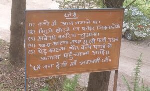 uttarakhand and environment crisis forest