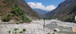 uttarakhand and environment crisis forest fire