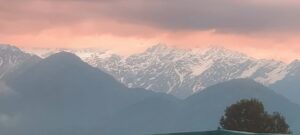 uttarakhand and environmental crisis forest fire