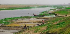 indo bangla india bangladesh border murshidabad