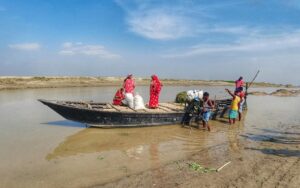indo bangla india bangladesh border murshidabad bsf