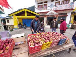 dharali cloudburst in uttarakhand mass tourism eco-sensitive zone himalayas apples