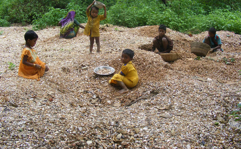 Mica mining illegal corporate