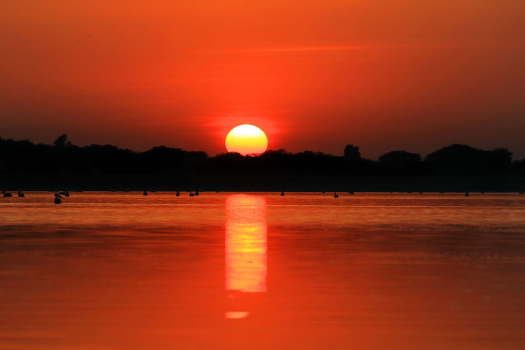 new year 2019 chandli jaipur