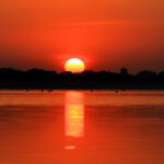 new year 2019 chandli jaipur