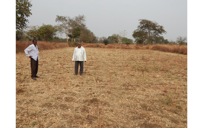एमएसपी सरकार फसलों जैव-विविधता किसानों MSP