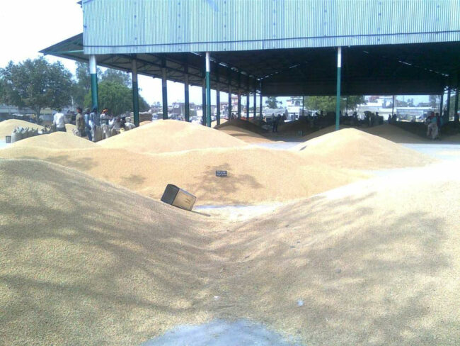 कृषि किसान मंडी उपज़ आंदोलन