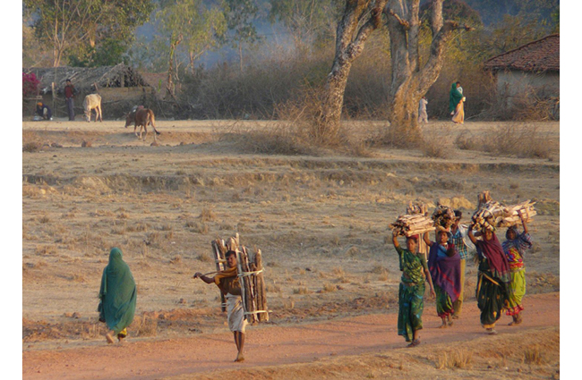 कृषि कानूनों की वापसी किसान कानून कानूनों न्यूनतम समर्थन मूल्य