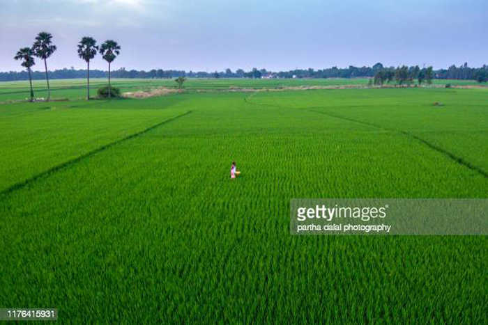 खेती किसान कृषि कानून
