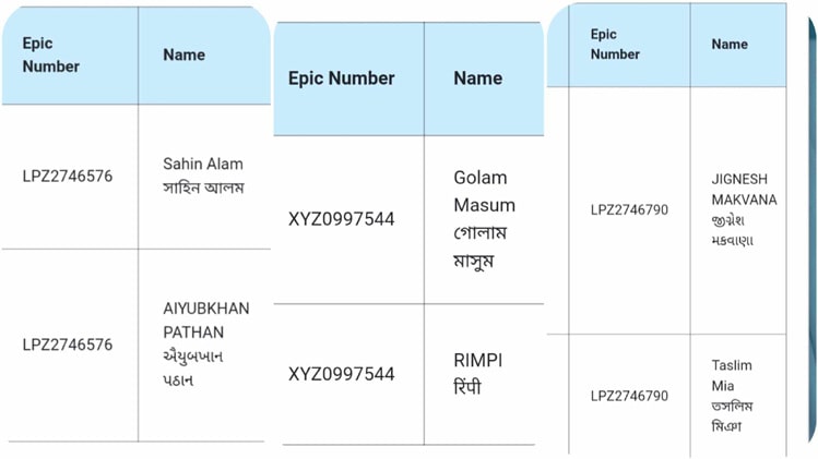 voters epic number election commission of india migrant